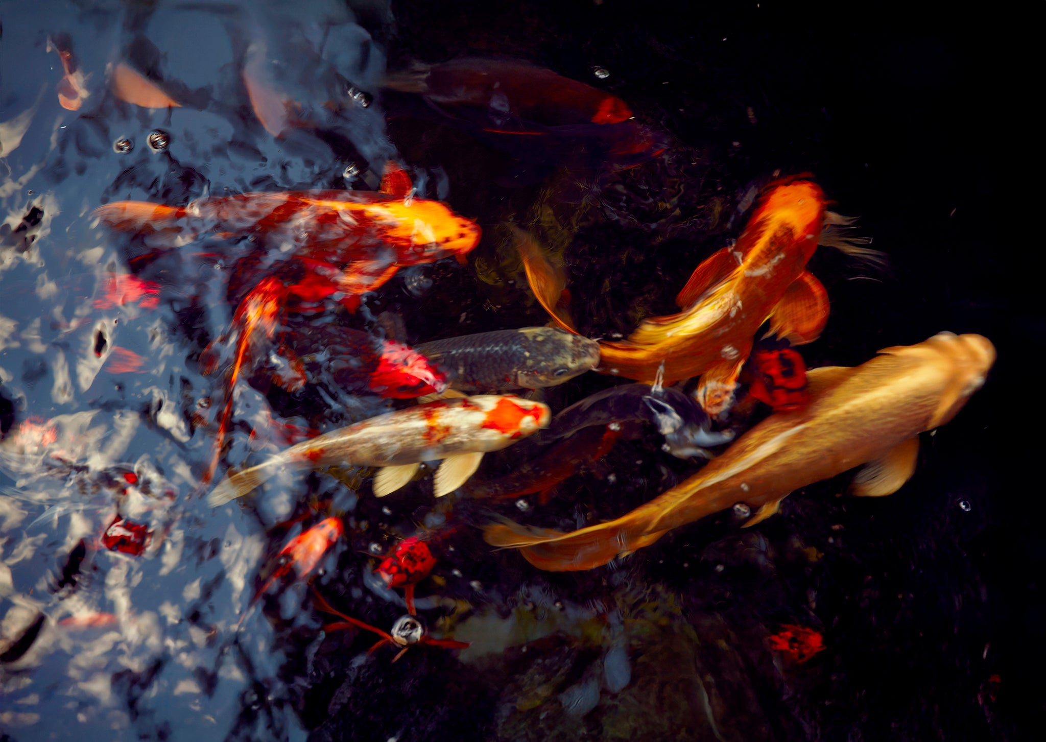 Aquatic energy and explosive light traces.