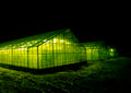 Glowing green greenhouse at night in Iceland, surreal beacon of light in dark landscape, fine art photograph