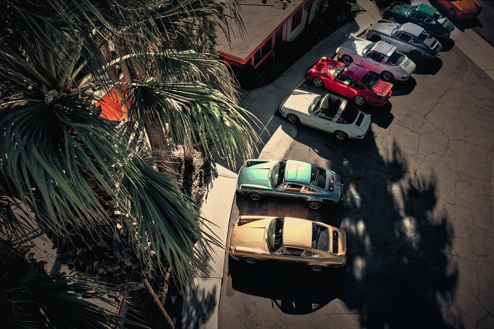 The Soft Machine by Frank Kayser — classic Porsche 911s beneath palms in a graphic West Coast gathering
