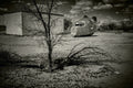Silver Eagle fine art photograph by Frank Kayser showing solitary bird in a coastal wildlife (American Desert – Abandoned Airfield)