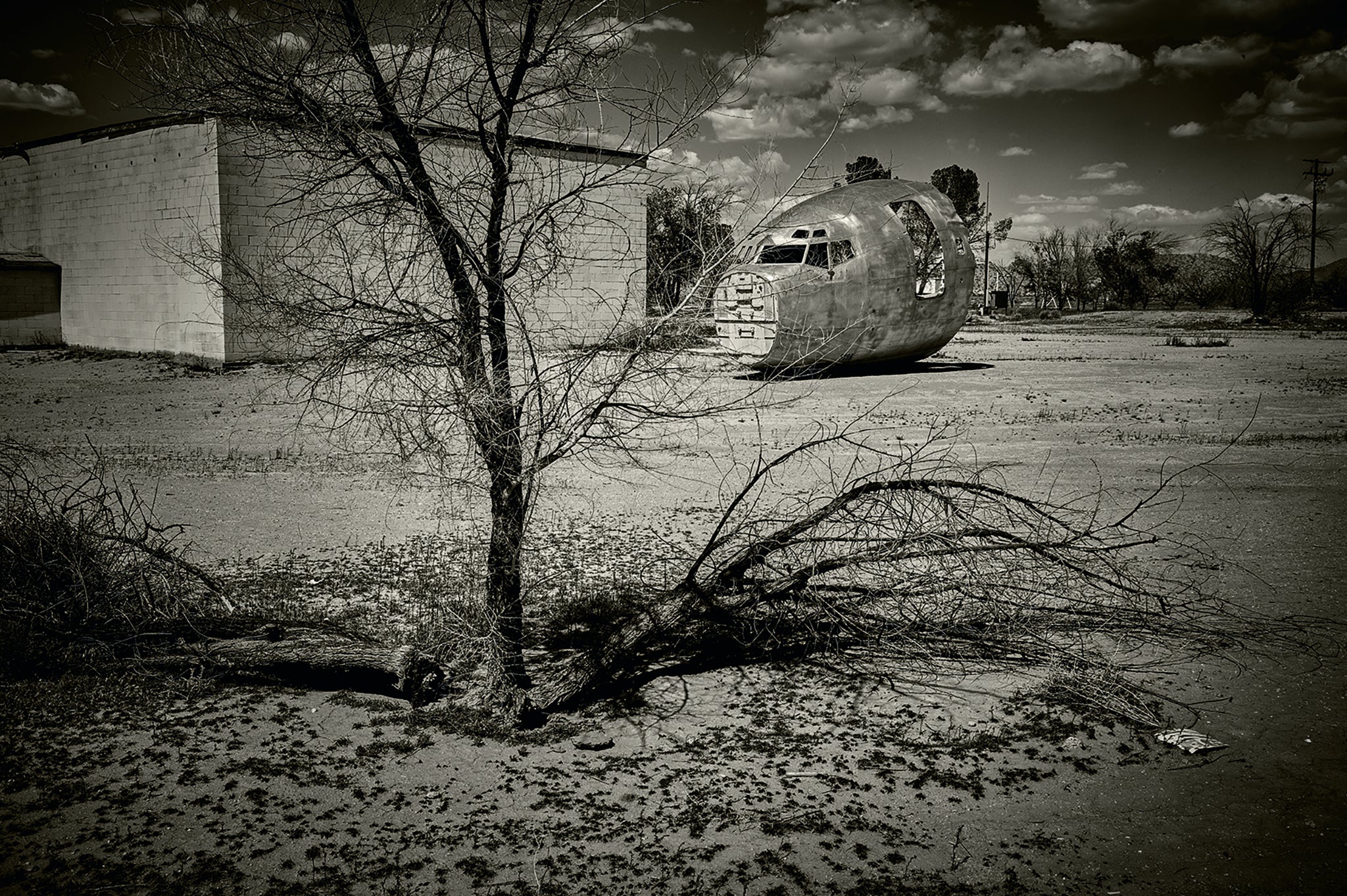 Silver Eagle fine art photograph by Frank Kayser showing solitary bird in a coastal wildlife (American Desert – Abandoned Airfield)