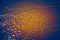 Liquid Gold — Fine Art photograph by Frank Kayser