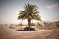 A Garage fine art photograph by Frank Kayser showing working vehicle in a urban still life (Fuerteventura – Desert Fringe)
