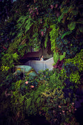 La Primavera 2025 fine art photograph by Frank Kayser showing urban architecture in a city stillness (Singapore Vertical Garden Architecture 2024)