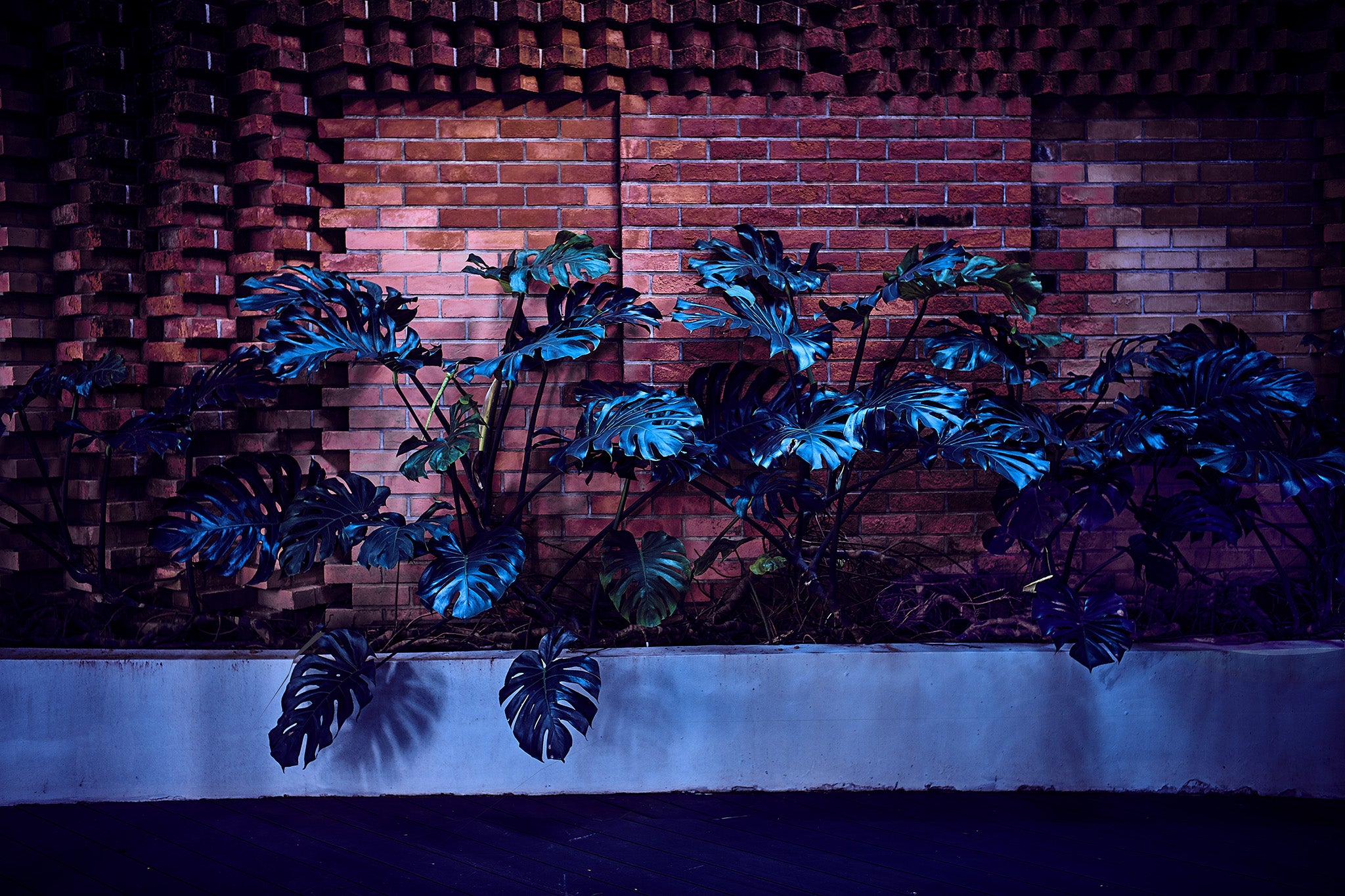Blue Power fine art photograph by Frank Kayser showing urban architecture in a city stillness (Singapore – Architectural Night Garden 2024)
