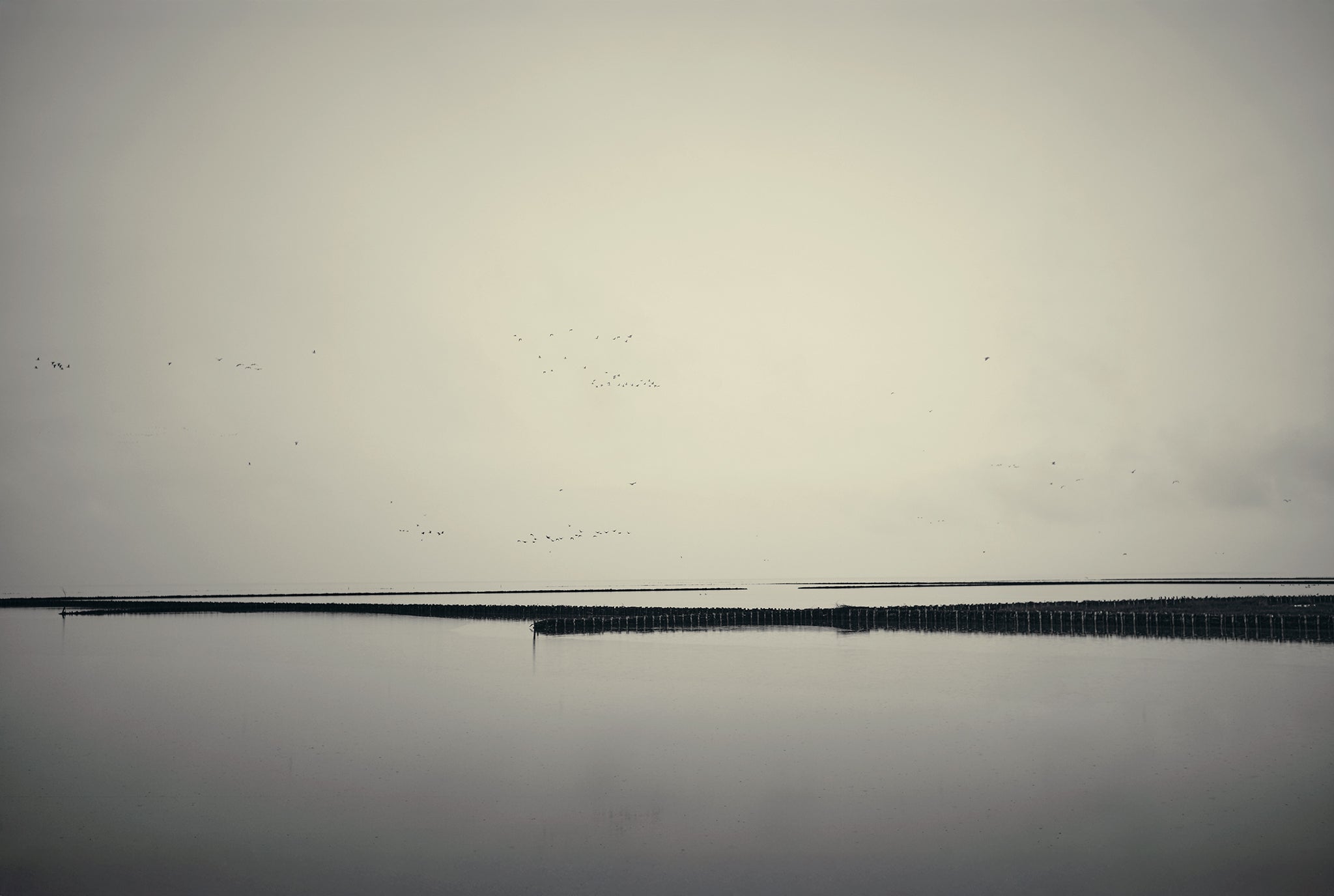 Nebellinie Eins fine art photograph by Frank Kayser showing coastal horizon in a minimal seascape (Nordic Coastline – Nordic Series)