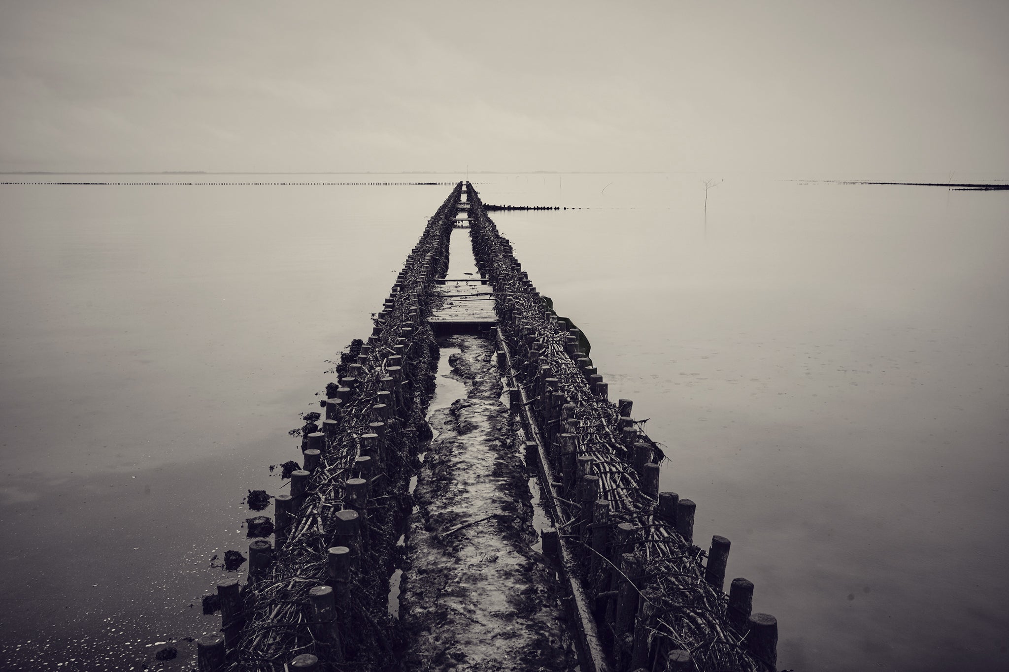 A Structure fine art photograph by Frank Kayser showing coastal horizon in a minimal seascape (North Sea / Wadden Sea)