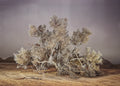 JOSHUA WONDERTREE — Fine Art photograph by Frank Kayser