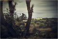 MOJAVE COLORS — Fine Art photograph by Frank Kayser
